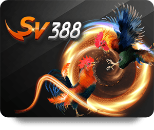 Kinh nghiệm chơi poker tại Dafabet Sòng Bạc Vàng cho người chơi